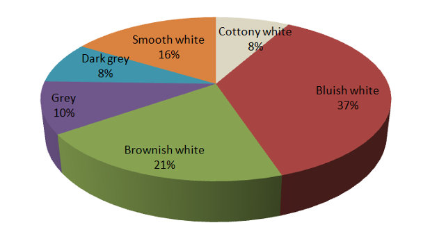 Role of Earthworms and Actinomycetes in Eco-friendly Degradation of Floral Waste via Vermicomposting and Antimicrobial Potential of Actinomycetes