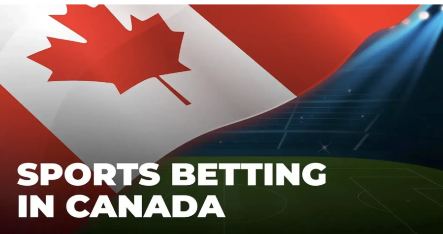 Sports Books, Stats and Screens: A Canadian Fan’s Guide to Reading Games Better
