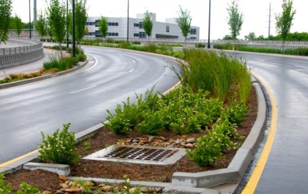 Green Infrastructure and Urban Resilience: A Pathway to Climate Adaptation