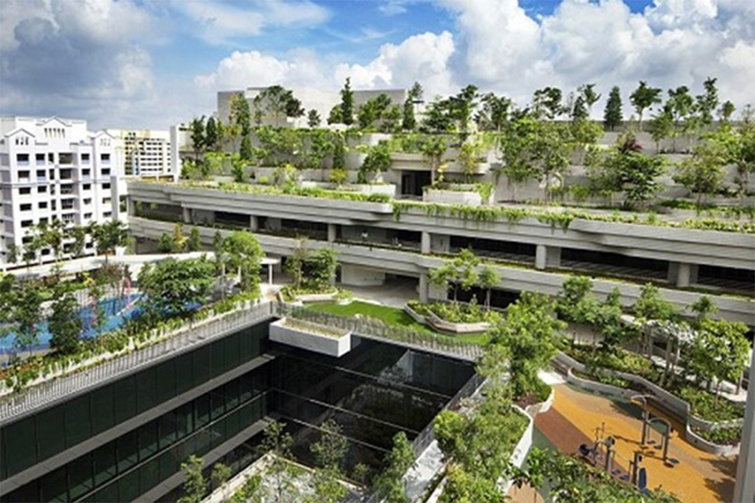 Vertical Greenery Systems: a comprehensive review