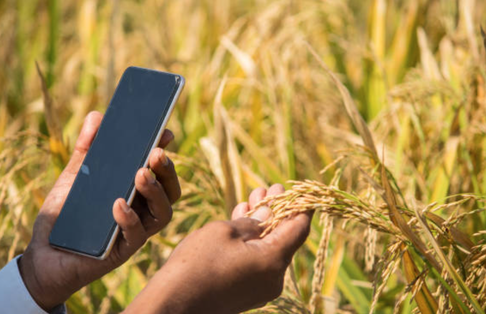 Assessing the Influence of Farmer Social Networks on the Efficacy of Climate Changes in Agricultural Settings