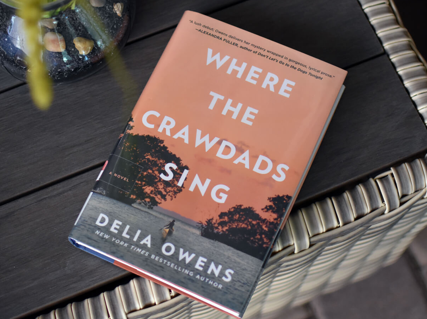 Where the crawdads Sing Book PDF