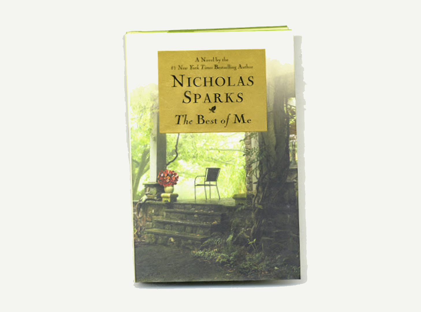 The Best of Me- PDF Book Download