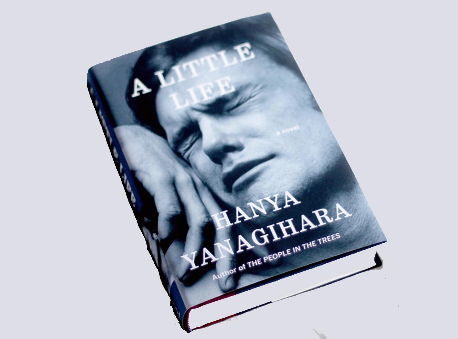 A Little Life: PDF Book