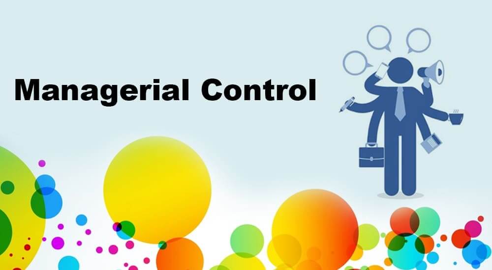 Impacts on Management Control Strategies During the Pandemic: A Review